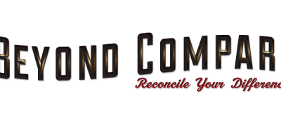 mint19 安装文件对比工具Beyond Compare 4 mint19 安装文件对比工具Beyond Compare 4