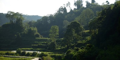 我们老家-竹林坪 我们老家-竹林坪