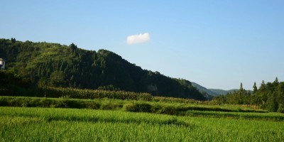 我们老家-竹林坪 我们老家-竹林坪